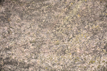 Beautiful vintage background. Abstract grunge decorative stucco wall texture. Wide rough background with copy space for text.