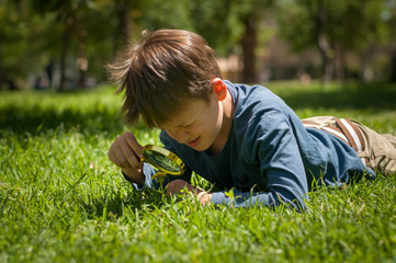 boy the Explorer of nature