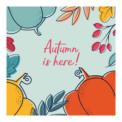 Autumn postcard with leaves, berries, pumpkins. Greeting card for vector flat design. Fall template. Cute invitation. Background with autumn plants for  the holiday