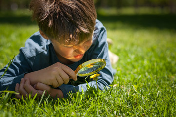 boy the Explorer of nature