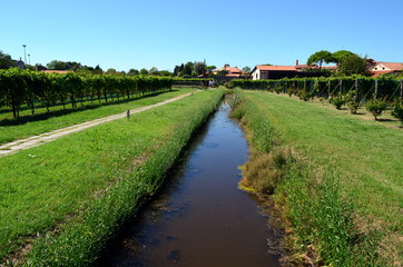 Park auf Mazzorbo bei Venedig