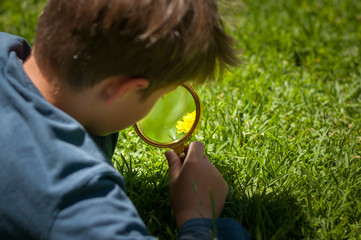boy the Explorer of nature