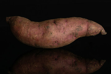 One whole fresh brown sweet potato isolated on black glass