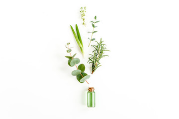 Fototapeta na wymiar Essential oil and mix of herbs, green branches, leaves eucalyptus, aloe Vera, rosemary, thyme on white background. Set of medicinal herbs. Flat lay. Top view.