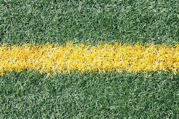 Yellow Line on Green Field