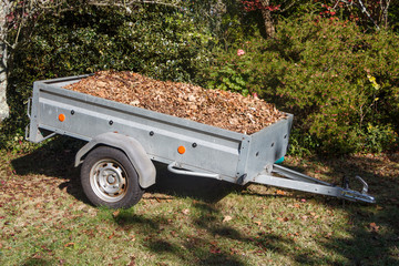Trailer full of dead leaves after cleaning under the trees during autumn