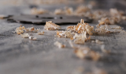 Sägeblatt mit Holzspänen in einer Schreinerei