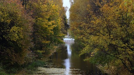 Fototapeta premium autumn in the park