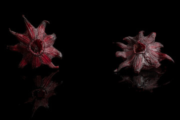 Group of two whole sweet red candied hibiscus isolated on black glass