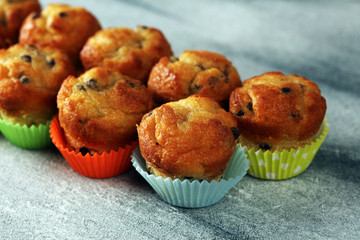 Chocolate muffin and nut muffin, homemade bakery on beautiful rustic background