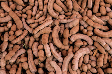 Asia, Thailand, Crop - Plant, Taking Pulse, Backgrounds