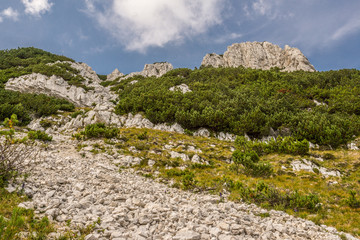 Fototapeta na wymiar Monte Baldo, Italy, Garda, Mountain