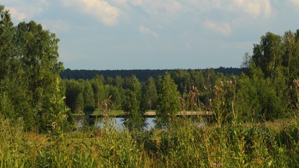 Fototapeta premium landscape with river and trees