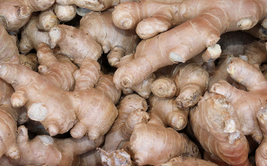 background of ginger roots a very aromatic plant to flavor many
