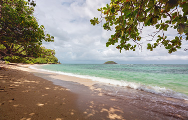 A tropical beach in Martinique Island, French West Indies - Wild Caribbean beach