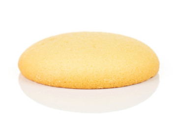 One whole sweet golden sponge biscuit isolated on white background