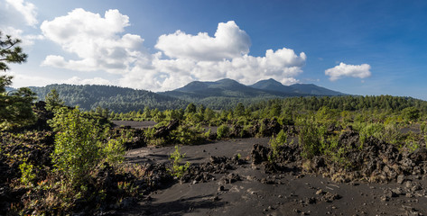 Fototapeta na wymiar Vista del Volcán Paricutín Michoacán
