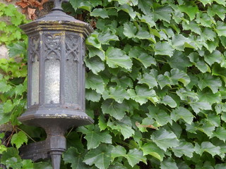 lamp