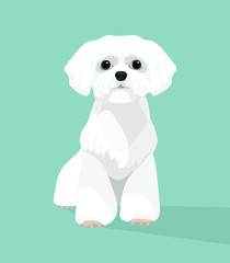 Cute white dog, flat design. Vector illustration.
