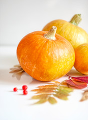 Autumn background. Thanksgiving Day. Pumpkins, autumn leaves and rowan berries. Autumn decor