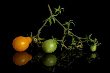 Group of three whole fresh yellow pear tomato isolated on black glass