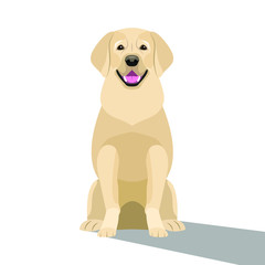 Vector dog sitting, isolated on white, labrador retriever, dog golden color. Flat design. EPS10