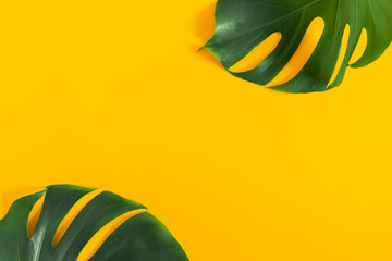 Fototapeta na wymiar Summer concept. Green leaves Monstera on yellow background. Flat lay, top view, copy space