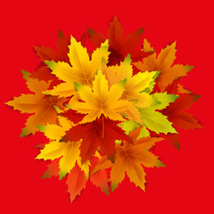 Naklejka na ściany i meble Autumn Background Template, with falling bunch of leaves, shopping sale or seasonal poster