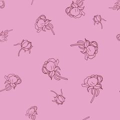 seamless background of transparent peony flowers on pink and white background