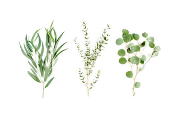 Mix of herbs green branches, leaves eucalyptus and plants collection on white background. flat lay,...