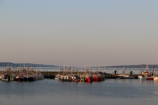 Fisher boats on a dock