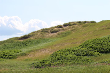 Fototapeta na wymiar Sand dune in Prince Edward Island