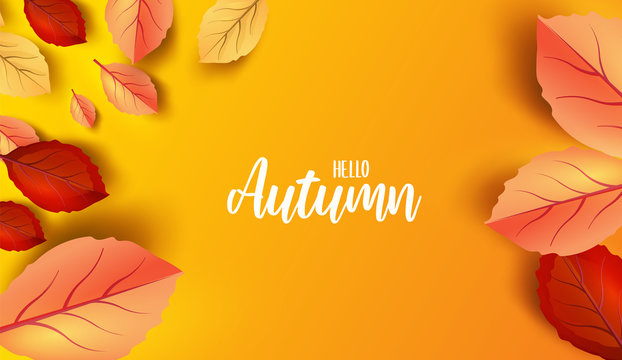 Abstract colorful leaves decorated  background for  Hello Autumn advertising header or banner design.  Vector Illustration.