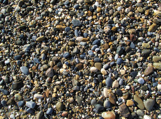 Wet sea pebbles on the beach