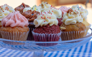 Cupcakes on a glass tray on a blue checkered tablecloth as seen from above. Multi-colored cupcakes with red velvet, vanilla, chocolate, lemon, and strawberry flavors with sprinkled frosting. 