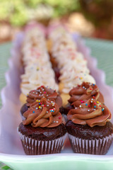 Cupcakes on a glass tray on a blue checkered tablecloth as seen from above. Multi-colored cupcakes with red velvet, vanilla, chocolate, lemon, and strawberry flavors with sprinkled frosting. 