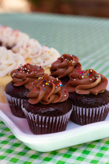 Cupcakes on a glass tray on a blue checkered tablecloth as seen from above. Multi-colored cupcakes with red velvet, vanilla, chocolate, lemon, and strawberry flavors with sprinkled frosting. 