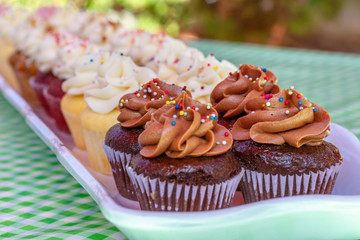 Cupcakes on a glass tray on a blue checkered tablecloth as seen from above. Multi-colored cupcakes with red velvet, vanilla, chocolate, lemon, and strawberry flavors with sprinkled frosting. 