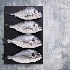 Four Fresh Royal Dorades on concrete gray backdrop. Healthy food concept. Top view, copy space.