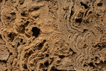  The texture of marine sedimentary rock, used in finishing works in construction. Wall. Stone. Bricks. Volcanic tuff.