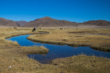 The highlands of the Bolivian Andes