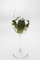 The live crawdad in the wine glass on the white background