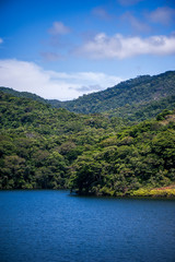 Forest e Lagoon photographed in the city of Cariacica, Espirito Santo. Southeast of Brazil. Atlantic Forest Biome. Picture made in 2012.