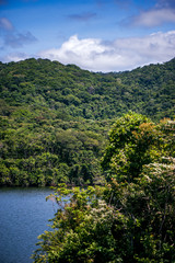 Fototapeta na wymiar Forest e Lagoon photographed in the city of Cariacica, Espirito Santo. Southeast of Brazil. Atlantic Forest Biome. Picture made in 2012.