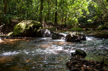 Naklejka na ściany i meble Stream photographed in the city of Cariacica, Espirito Santo. Southeast of Brazil. Atlantic Forest Biome. Picture made in 2012.