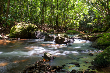 Fototapeta na wymiar Stream photographed in the city of Cariacica, Espirito Santo. Southeast of Brazil. Atlantic Forest Biome. Picture made in 2012.
