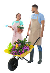 Couple of gardeners with wheelbarrow and plants on white background