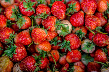 Strawberry, Fruit, Berry Fruit, Dessert, Food