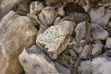 Texture of marine sedimentary rock. Coprolites of the ancient inhabitants of the sea.