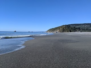 pacific northwest coast line beach with mountains